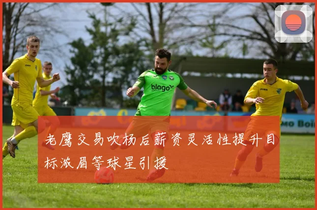 老鹰交易吹杨后薪资灵活性提升目标浓眉等球星引援